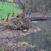 Ein grosser Haufen Schilf und Äste