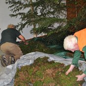 Schon bald ist der Wald eingerichtet