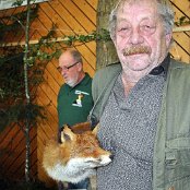 Der Fuchs darf auch an die Ausstellung