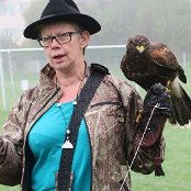 Nun startet die Falknerin Patty Stoll den Harris Hawk "Skadi"