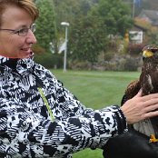 Ein prächtiger Vogel