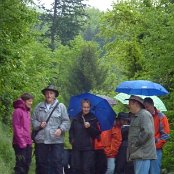 Durch Wikons Waldstrassen