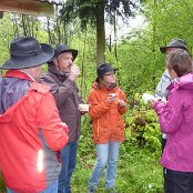 Wir befinden uns im Wikoner Oberdorf