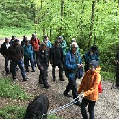 Nun gehts in den Wald