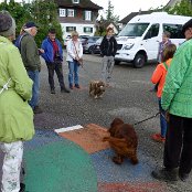 Auch Hunde dürfen mit, wenn sie anständig sind