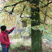 Philip nimmt einen Nistkasten vom Baum