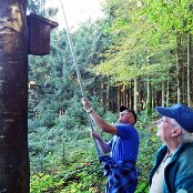 Nach dem Saubermachen hängt man die Einzimmerwohnungen wieder an den Ast