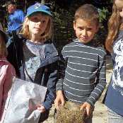 Die Nester nehmen wir mit in die Schule (Ronja, Lena, Patrick und Gabriela)