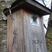 Dumm gelaufen - Ein Feldspatz erlitt wahrscheinlich einen Herzschlag