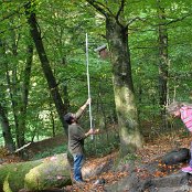 Hanspeter holt die Nistkasten vom Baum