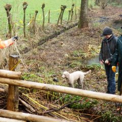 Böse Zungen behaupten, der Hund hätte den meisten Dreck transportiert